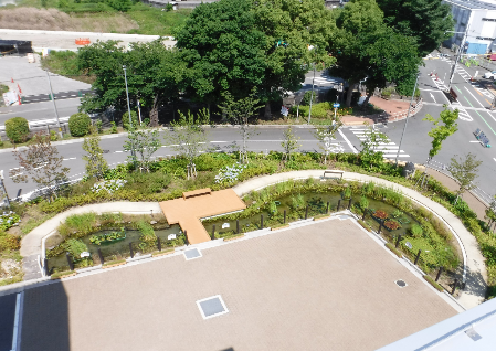 さすてな京都のビオトープ写真