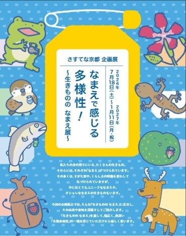 企画展示のイメージ