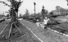 川端丸太町