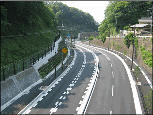 事業完成後写真（九条山から蹴上方面を望む）