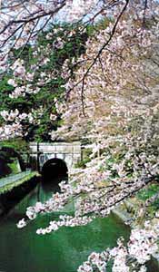 琵琶湖疏水の写真