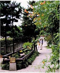 川端通沿いの「せせらぎ道」の写真