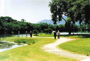 大沢池をめぐる散策路の写真