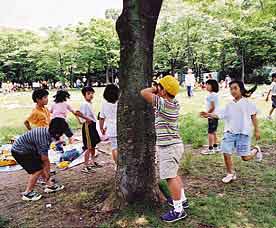 洛西福西公園の写真