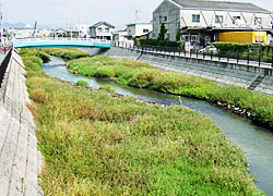 西羽束師川改修後