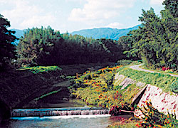 善峰川下流部