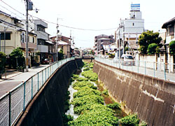 東高瀬川の様子
