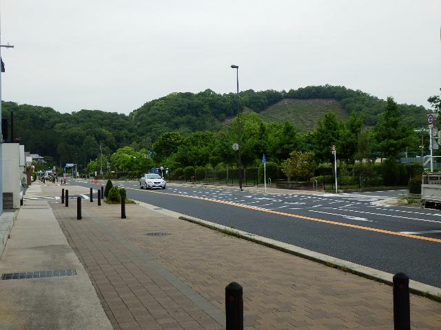 完成写真