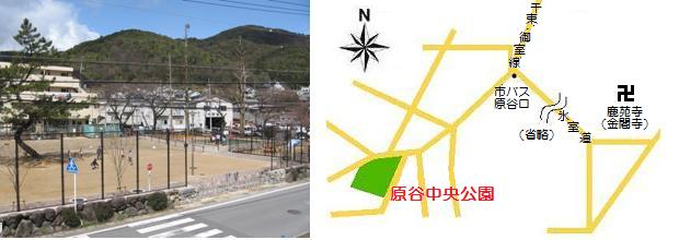 原谷中央公園写真