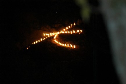 船岡山公園から見える大文字の送り火（左大文字）