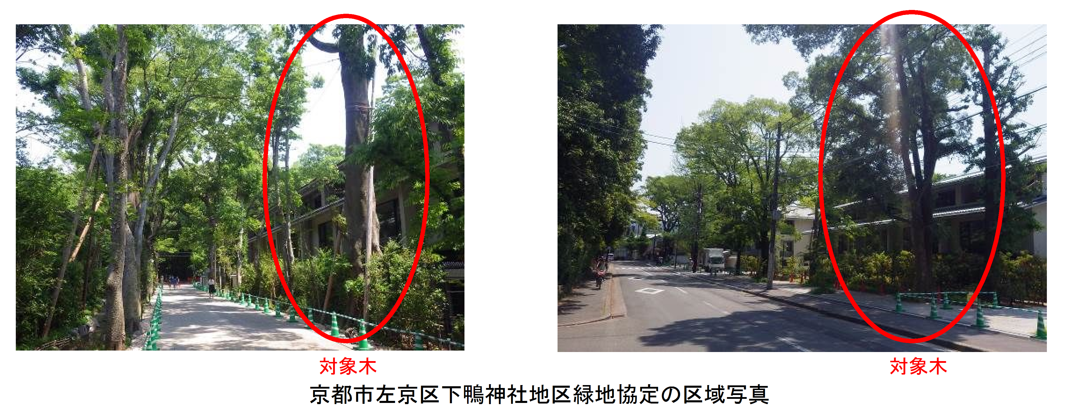 現地写真