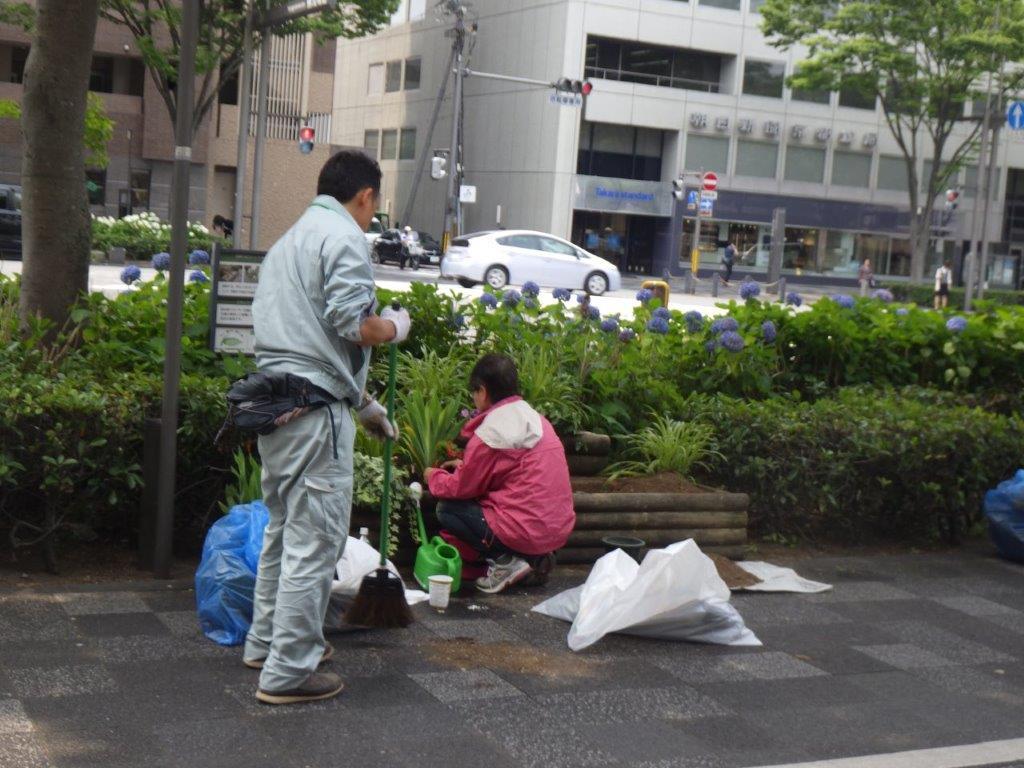 植替えの様子1