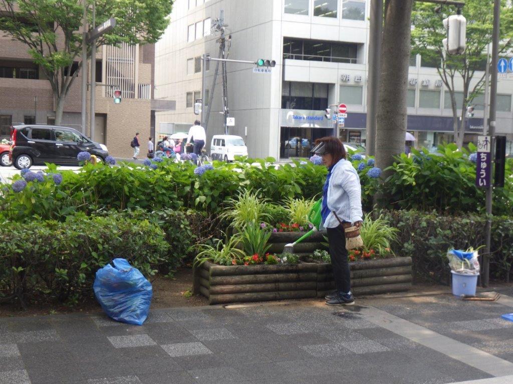 植替えの様子2