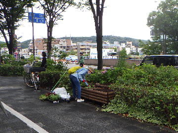 植替えの様子