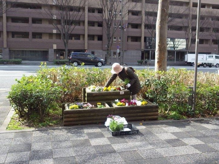 植替えの様子