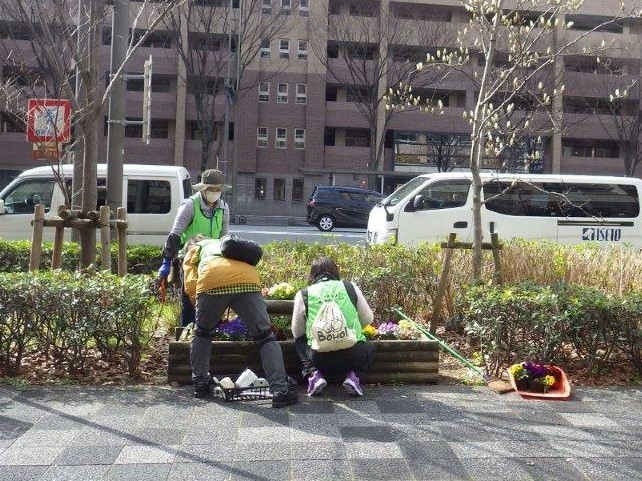 植替えの様子