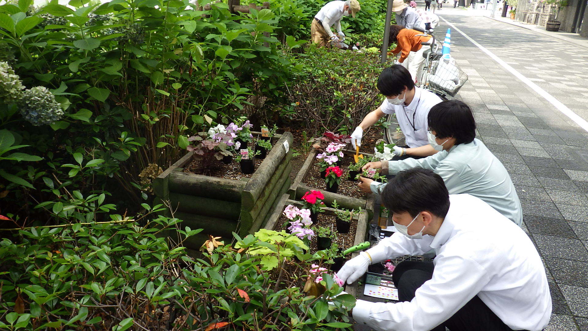 植替えの様子2
