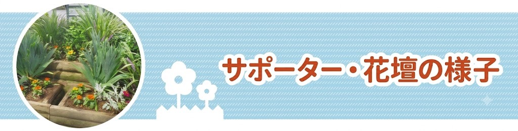 サポーター・花壇の様子は上の画像をクリックしてご覧ください。