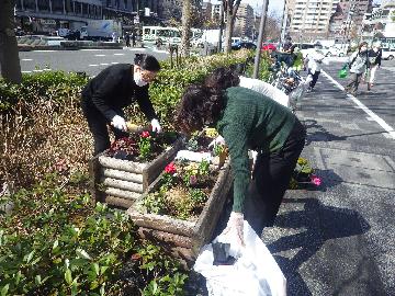 植替えの様子