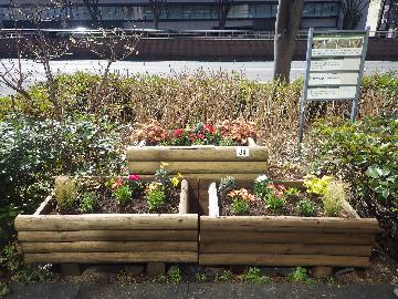 植替え完了