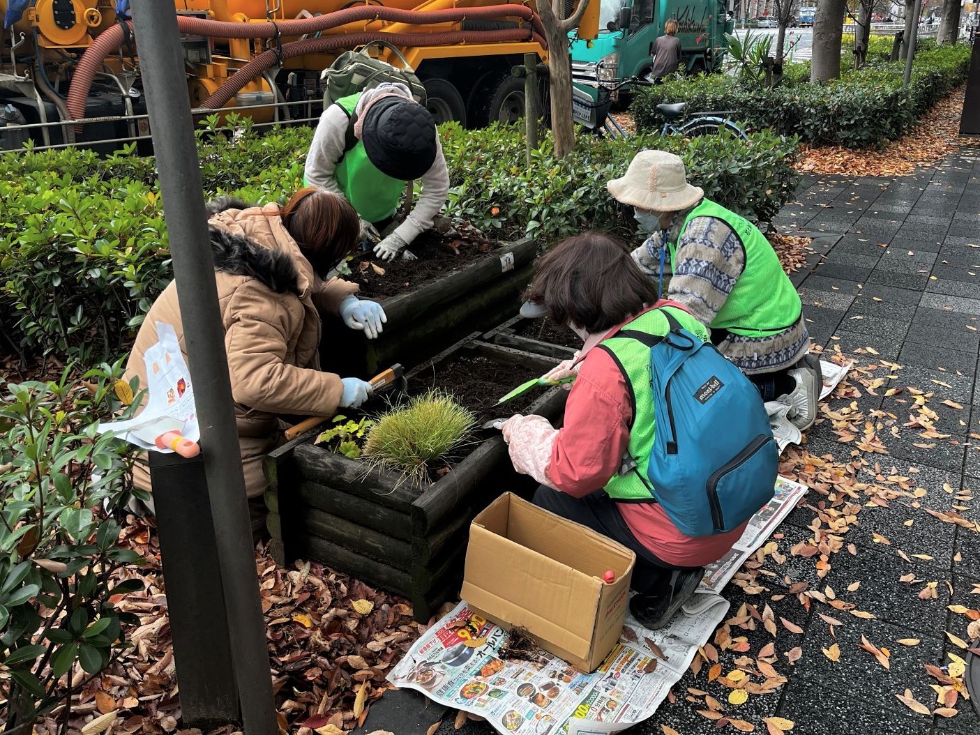 植替え作業中