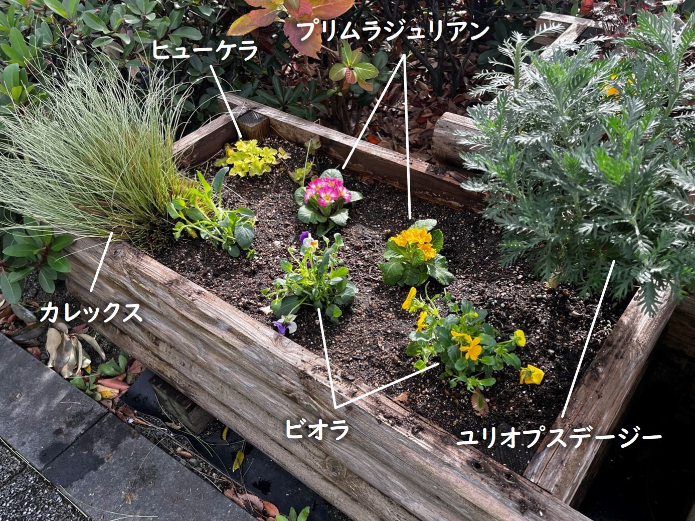 植替え後の花壇