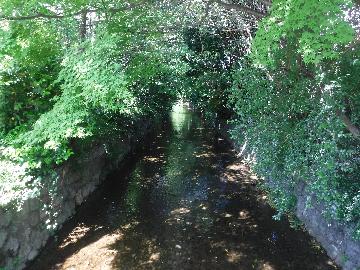 工事前の高瀬川（下京区六軒橋付近）