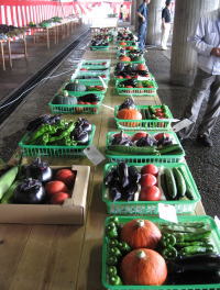 出品された野菜の写真