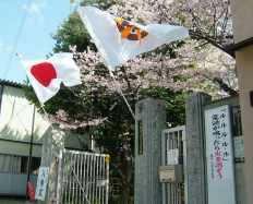 楽只小学校校門の桜の写真