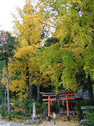 岩戸落葉神社の写真