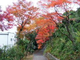 船岡山の写真