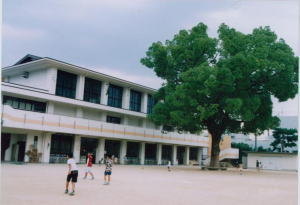 衣笠小学校の写真