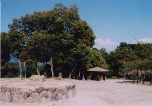 船岡山の写真