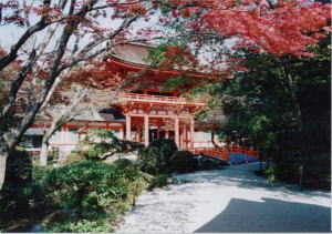 上賀茂神社の写真