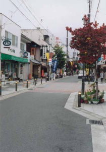 新大宮コミュニティ道路の写真