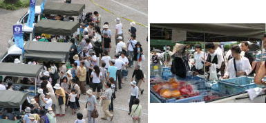 「もぎたて　京の朝市」の様子
