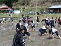 小野郷休耕田プロジェクト田植え
