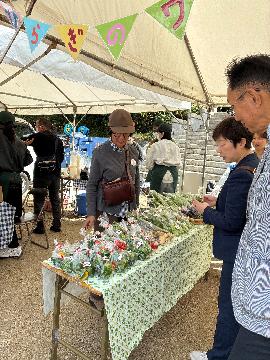 らはらと落ちる桐の花