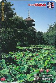蓮（東寺）