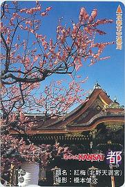 紅梅（北野天満宮）