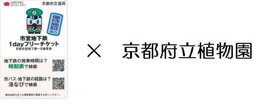 乗車券