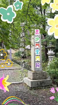 動画のサンプル画像