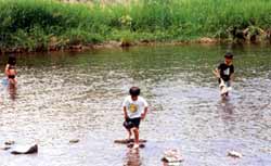 親に見守られながら浅瀬で遊ぶ子どもたち