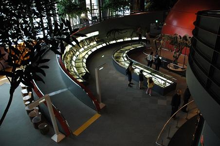 多数の展示品が並ぶ「兵庫県立人と自然の博物館」