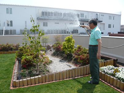 京都市環境事業協会の屋上緑化