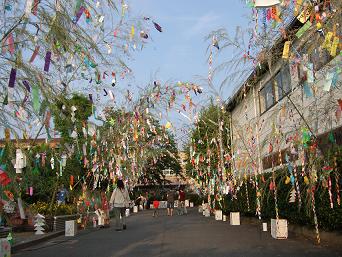 上鳥羽学区で七夕会