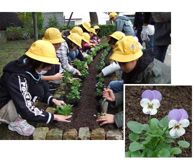 花の植え替えの様子