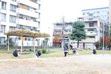 公園のごみを集める皆さん