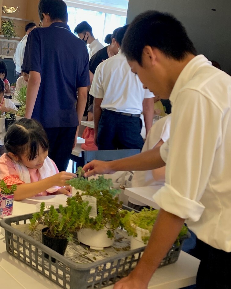 多肉植物の寄せ植えづくりの様子（その2）