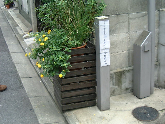 協定地区をかざる花